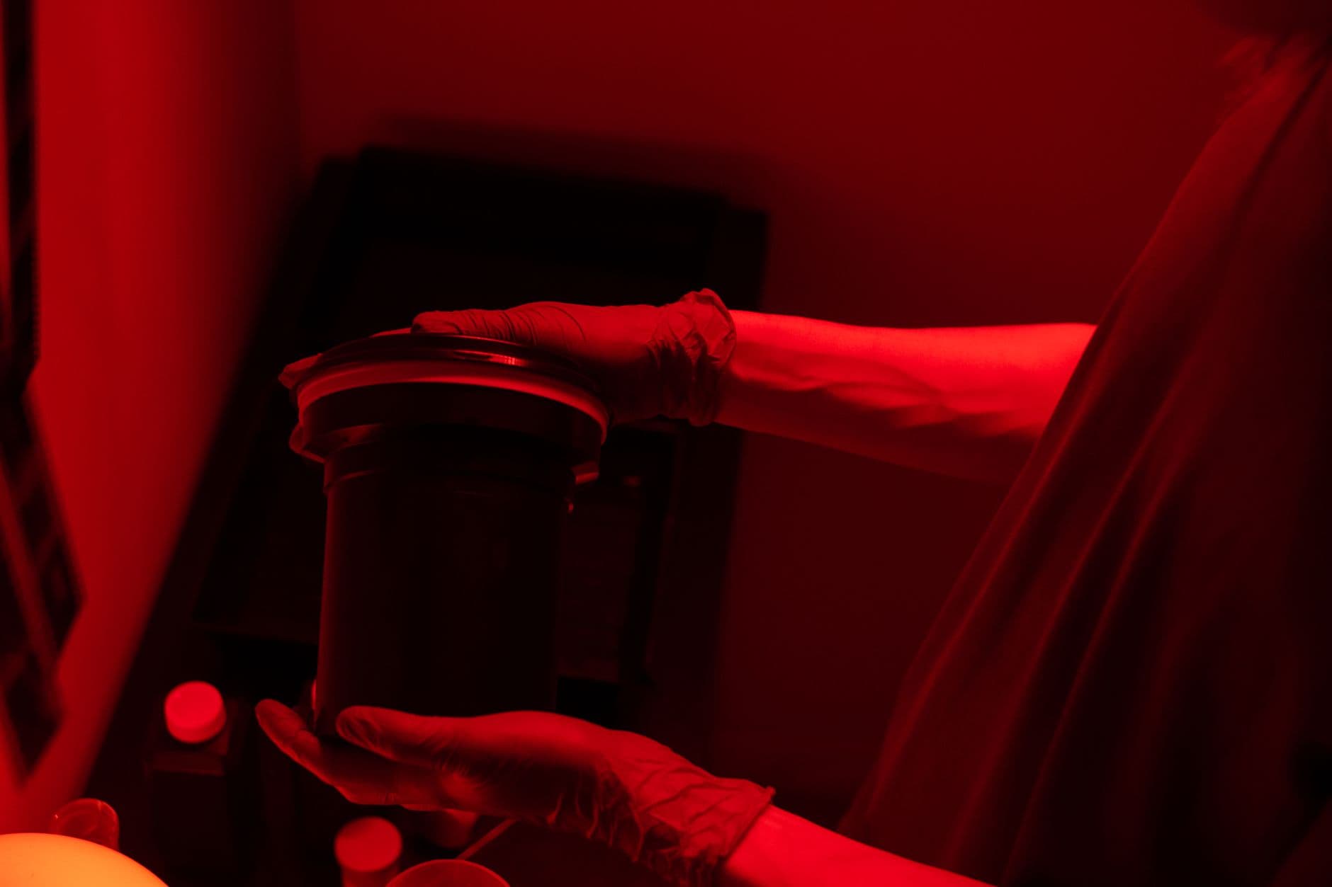 Hands carefully handling film in a red-lit darkroom.